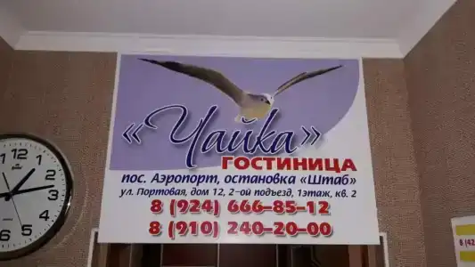 Чайка - 0