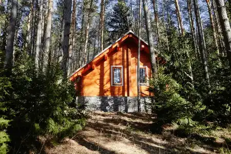 Зеленый городок - 10