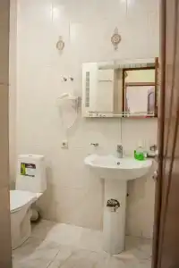АТОН - 4