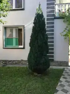 Галатея - 10