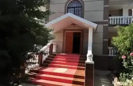 Кипарис - 14