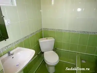 В гостях у Эльвиры - 39