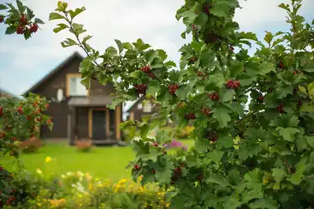 Суздальский Дворик - 18