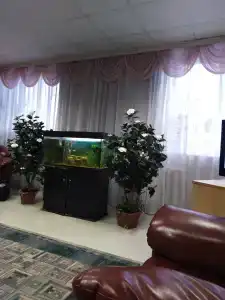 Родник - 99