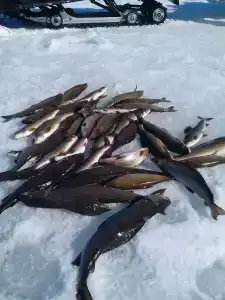 Северный- Остров рф - 66