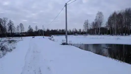 Отрадное58 - 31