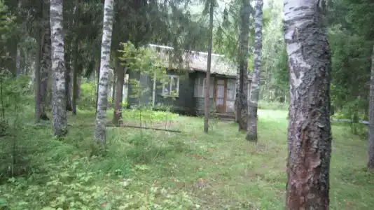 Лесной Родник - 66