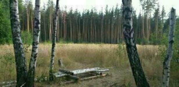 Замок у Леса - 33