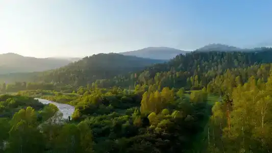 ТраваМурава - 4