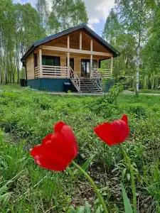 Молодильные сады - 0