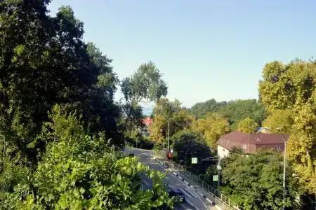 Парадайз - 48