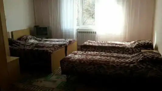 Тараз - 31