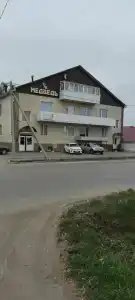 Медведь - 48