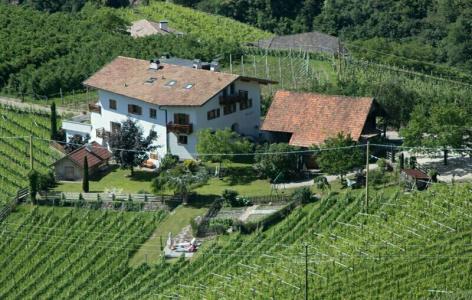 Tollhof - 19