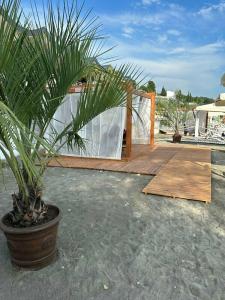 Laza Villa - 31
