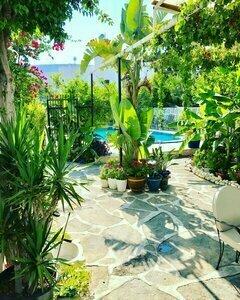 Artunc Bodrum - 35