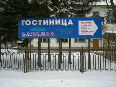 Лаванда - 33