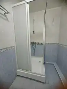 Тюльпан - 28