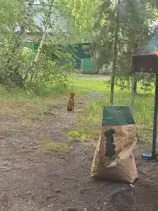 Водолей - 11