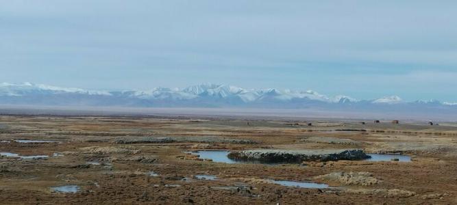 Altay Steppe - 48