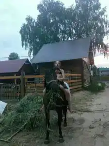 Стрижели - 43