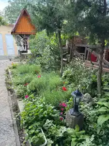 Долина Света - 40