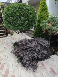 Афродита - 36