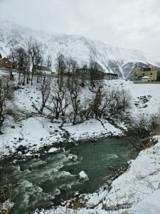 Cozy in Kazbegi - 11