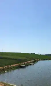 ДоброФиш - 5