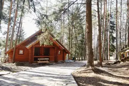 Зеленый городок - 1