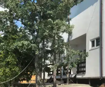 Рассвет - 16