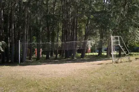 Дубовая Грива - 98