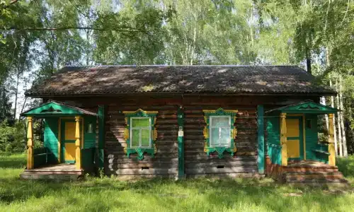 Подсолнухи - 8