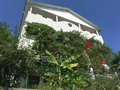 Усадьба Полуниной - 36