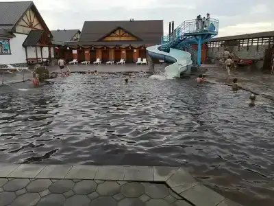 Гедуко - 0