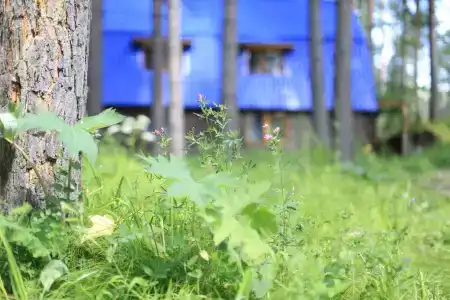 Загородный Очаг - 24