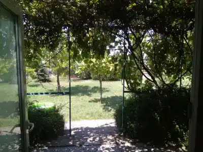 Жемчужина - 42