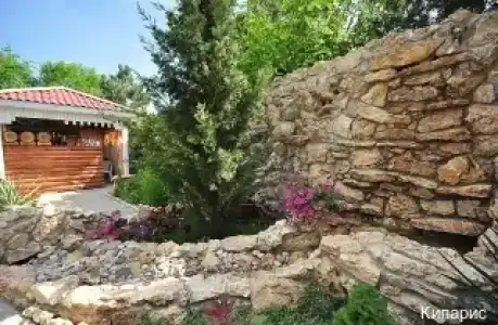 Кипарис - 43