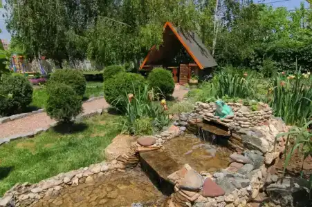 Фламинго - 10