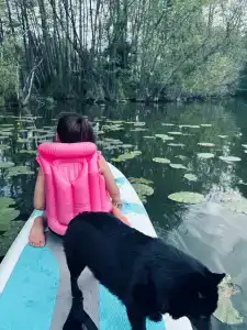 Чаща - 18