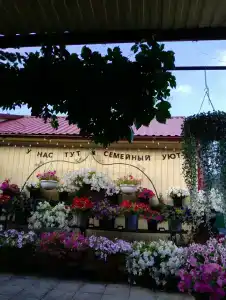 Семейный уют - 47
