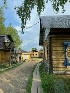 Стрижели - 48
