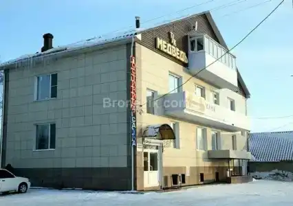 Медведь - 21