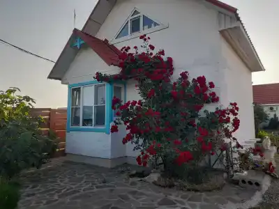 Ласточки над маяком - 14