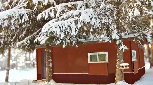 Сабо - 14