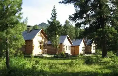 Снежный барс - 2