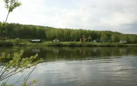 Потапыч - 8