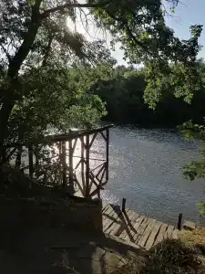 Простоквашино - 61