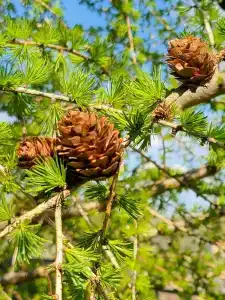 Панковский закуток - 92