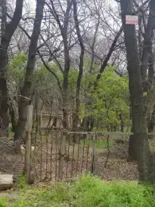 Дубки - 9
